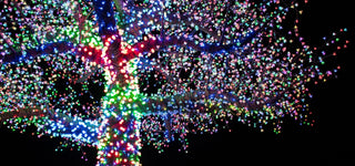 Magic Tree Lighting — A Holiday Tradition with Heart