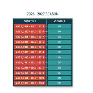Birth year and age group chart