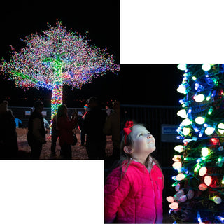 Night time view of the Magic Tree with people gathered around.