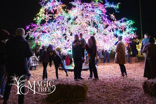 Magic Tree Lighting Ceremony at Paragon Star